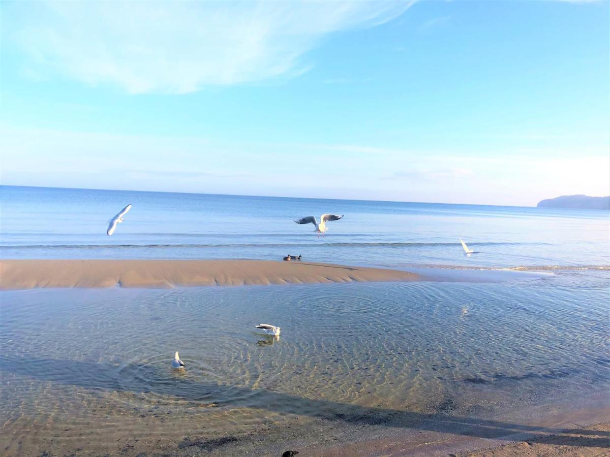Strandvilla Seeadler Hinter Duene Und Apartment *